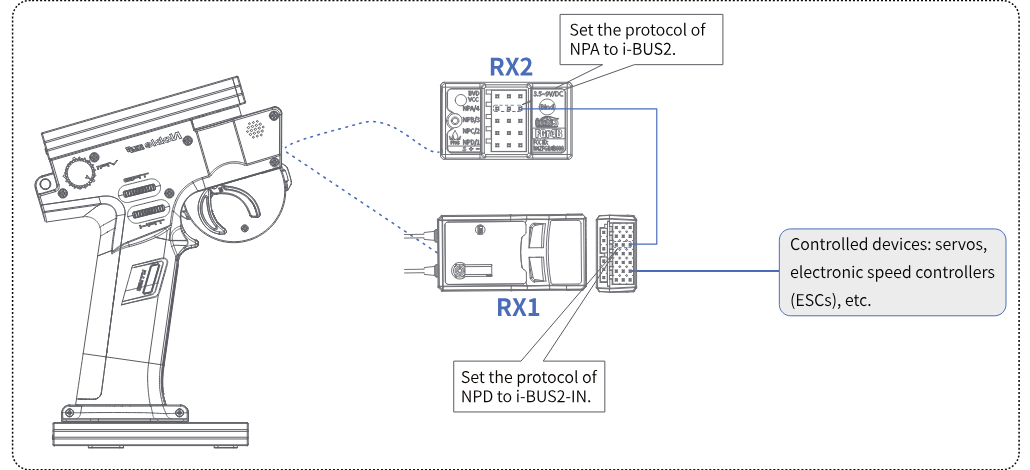 The transmitter bound to RX2 (NPA set to i-BUS2) and RX1 (NPD set to i-BUS2-IN), the two Newports connected by a Dupont cable, and the controlled devices (servos, ESCs, etc.) on RX1