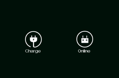 Abfrage der USB-Funktion: Charge oder Online